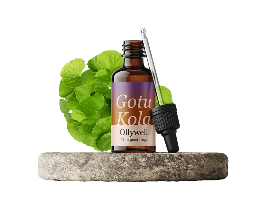 Gotu Kola