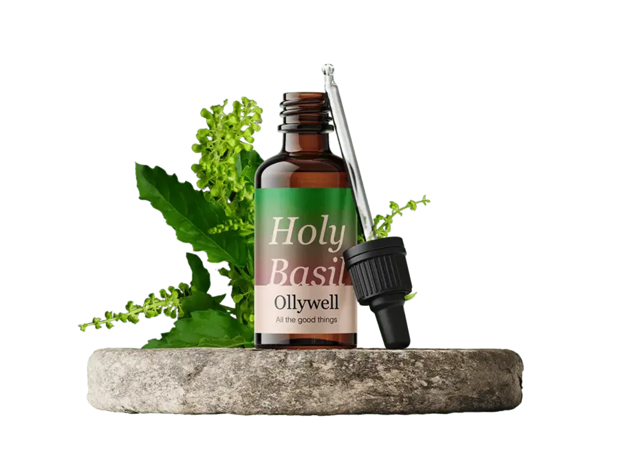 Holy Basil