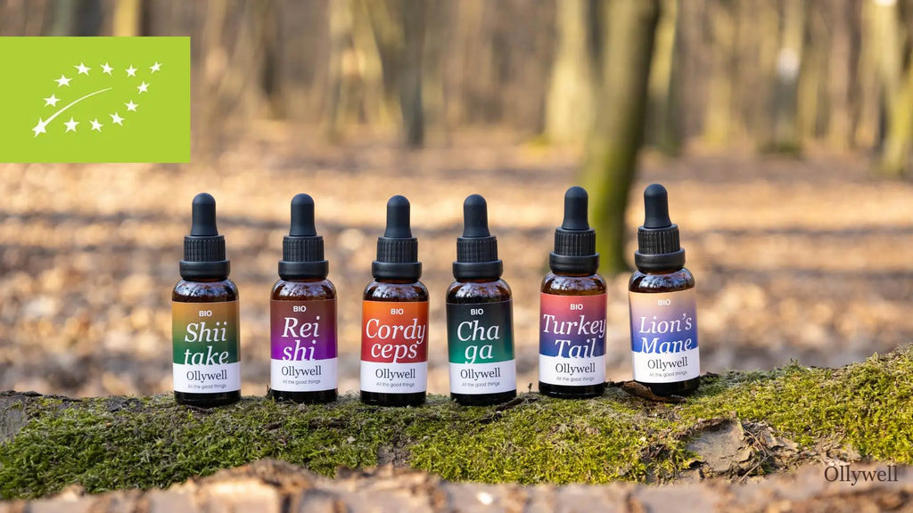 Ekstrakty z adaptogenów od Ollywell z certyfikatem EU Organic.