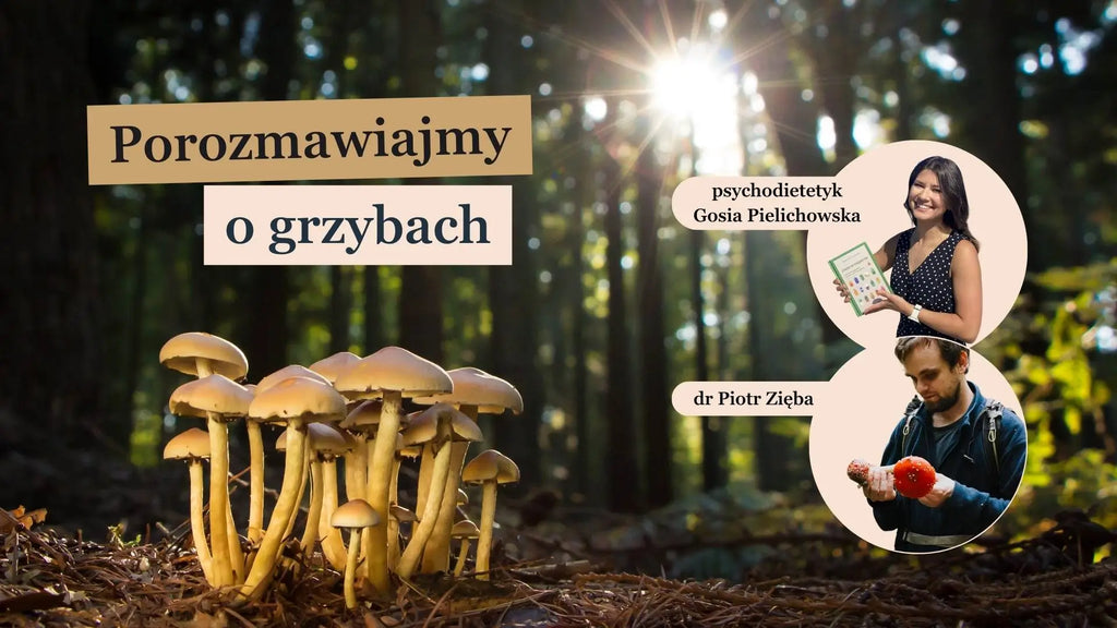Grafika przedstawia zajawkę podcastu, w którym psychodietetyczka Gosia Pielichowska rozmawia z dr Piotrem Ziębą..