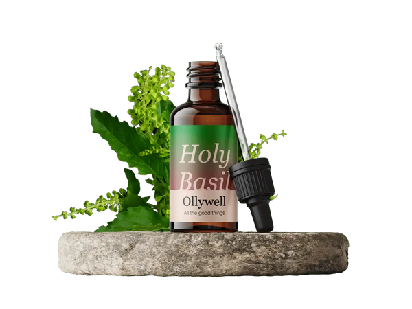 Holy Basil: Balance+ Ollywell